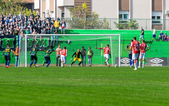 Fans celebrating a game-winning goal