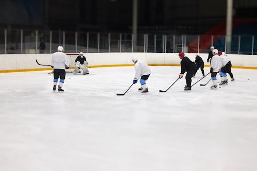 training session for hockey enforcers