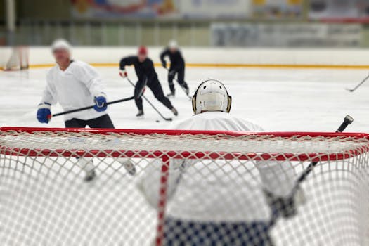 Goaltender in action