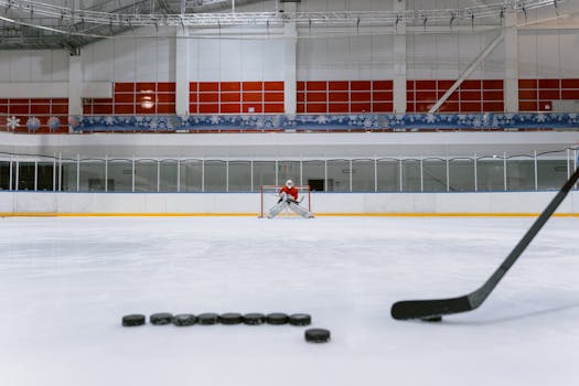 Iconic Hockey Moments