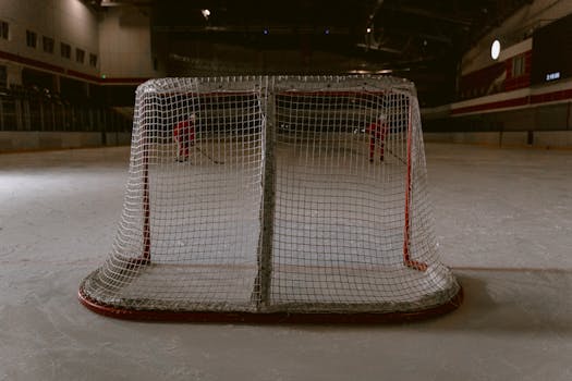 exciting moment from a surprising hockey game