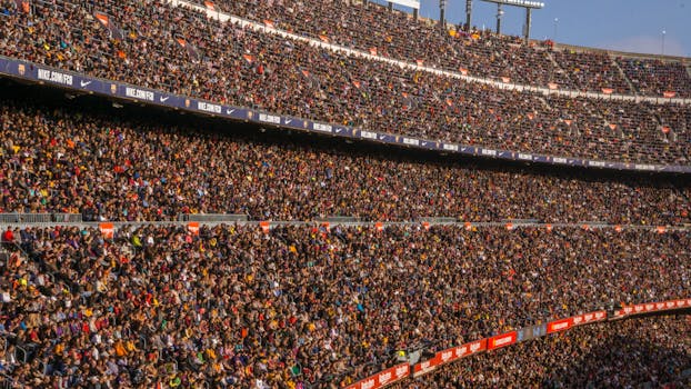 fans cheering in the stands