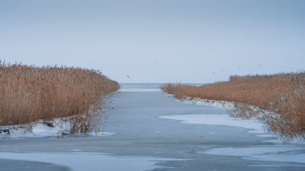 Wayne Gretzky on Ice
